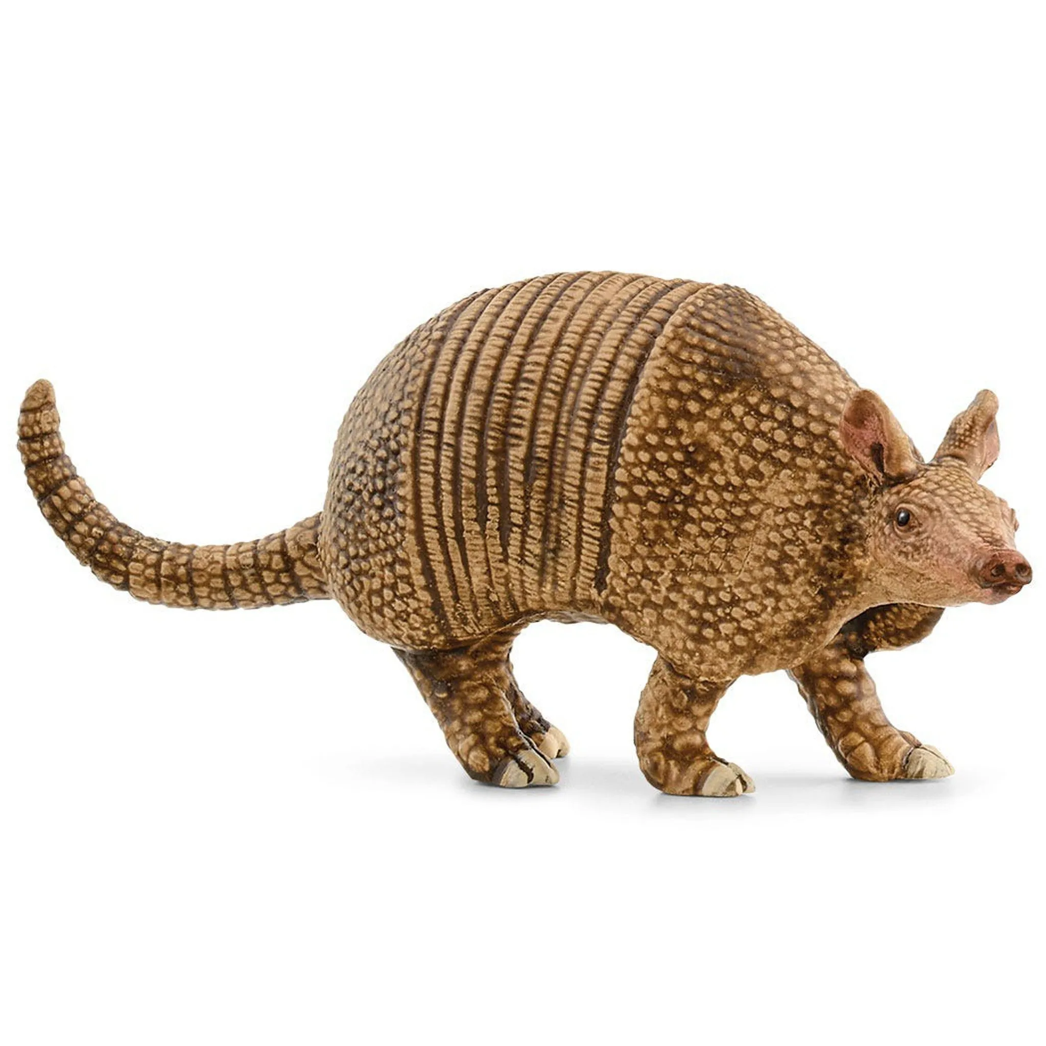 14874 SCHLEICH ARMADILLO