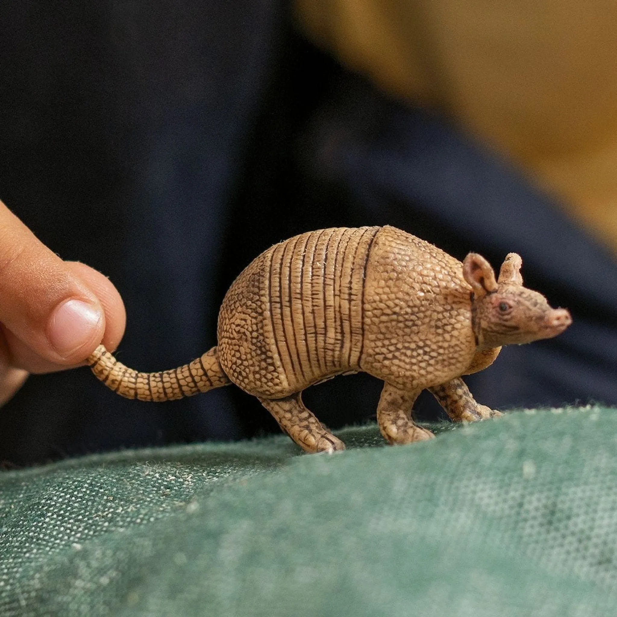 14874 SCHLEICH ARMADILLO