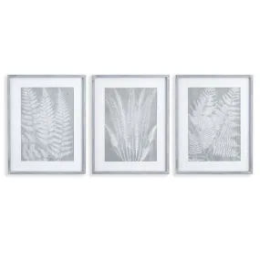 FERN FROND PRINTS, SET OF 3 BY NAPA HOME & GARDEN