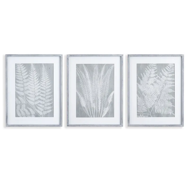 FERN FROND PRINTS, SET OF 3 BY NAPA HOME & GARDEN