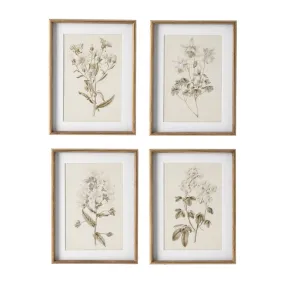 FLEUR DE BLANC PRINTS, SET OF 4 BY NAPA HOME & GARDEN