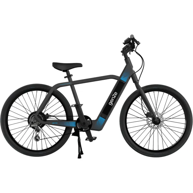 Genze E201 350 Watt Electric Bike