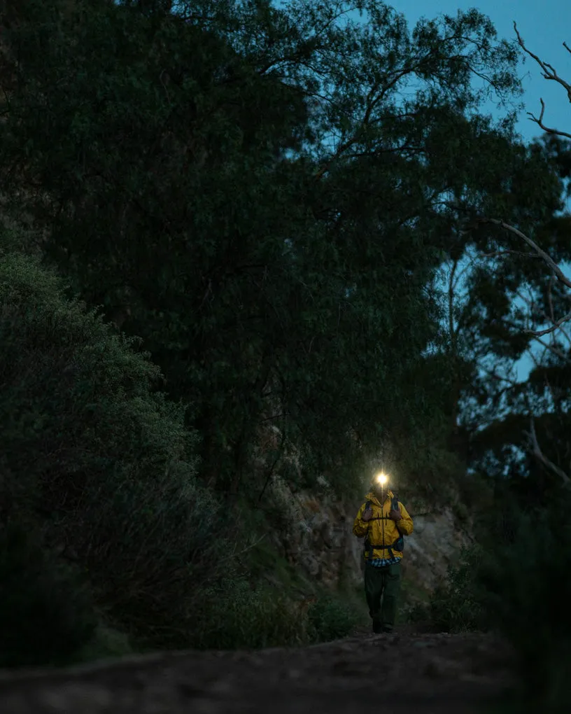 Knog Bandicoot 250 Lightweight Explorer Headlamp