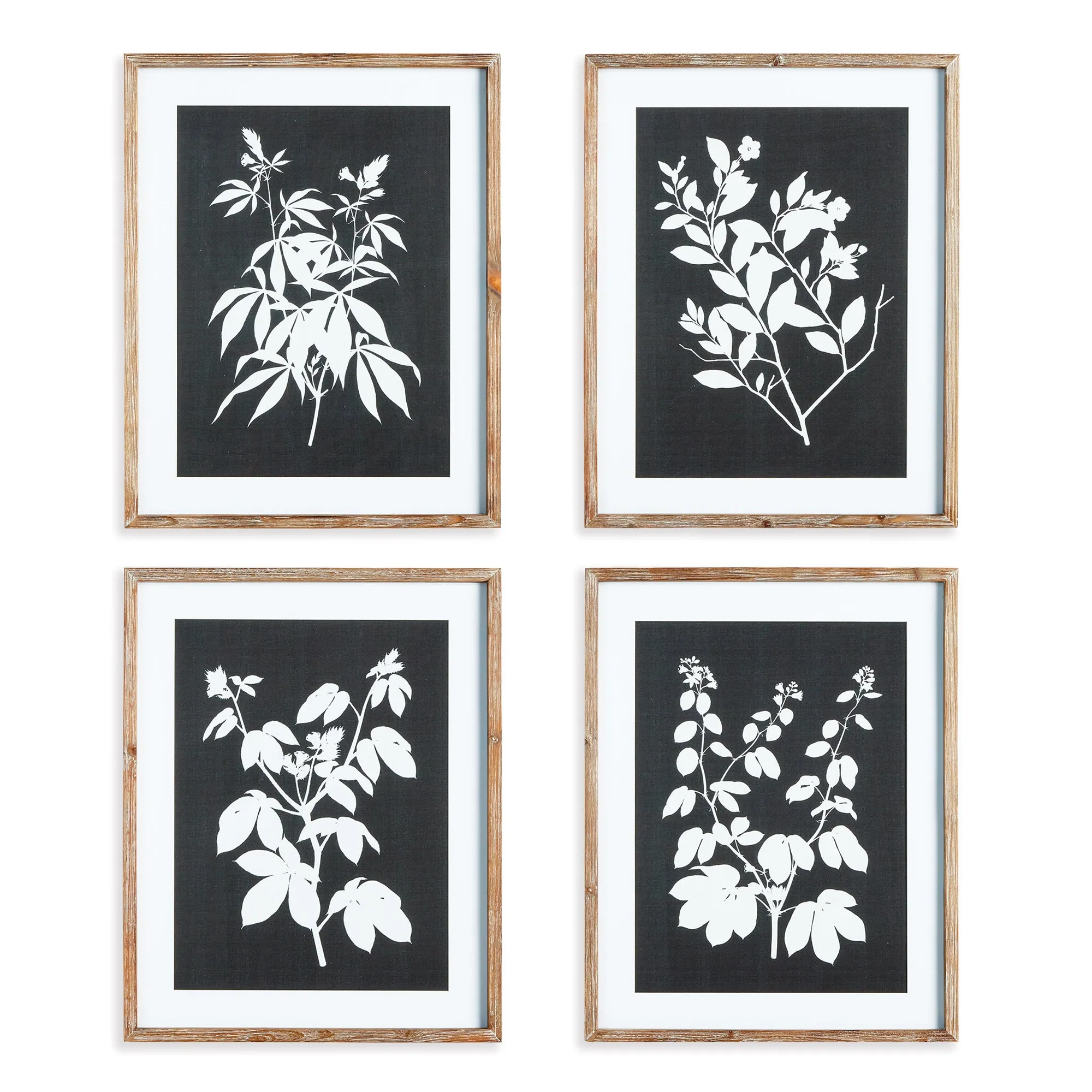 MONOCHROME BOTANICAL PRINTS, SET OF 4 BY NAPA HOME & GARDEN